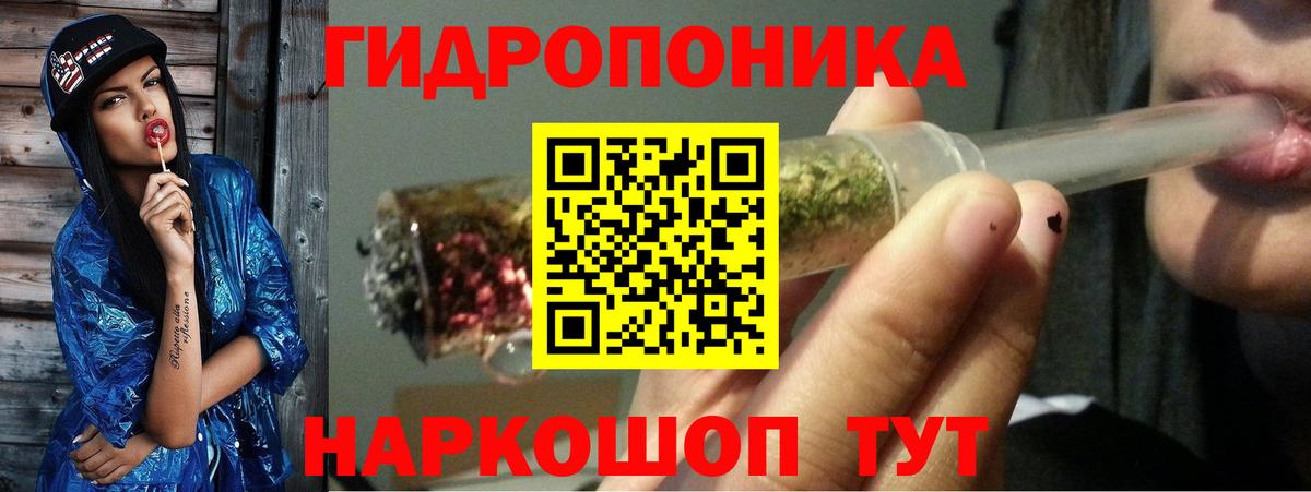 Бошки марихуана THC 21% Боровичи